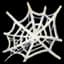 Cobweb