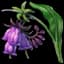 Comfrey