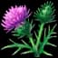Thistle