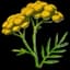 Wormwood